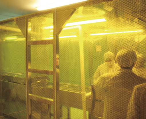 100���ྻ������